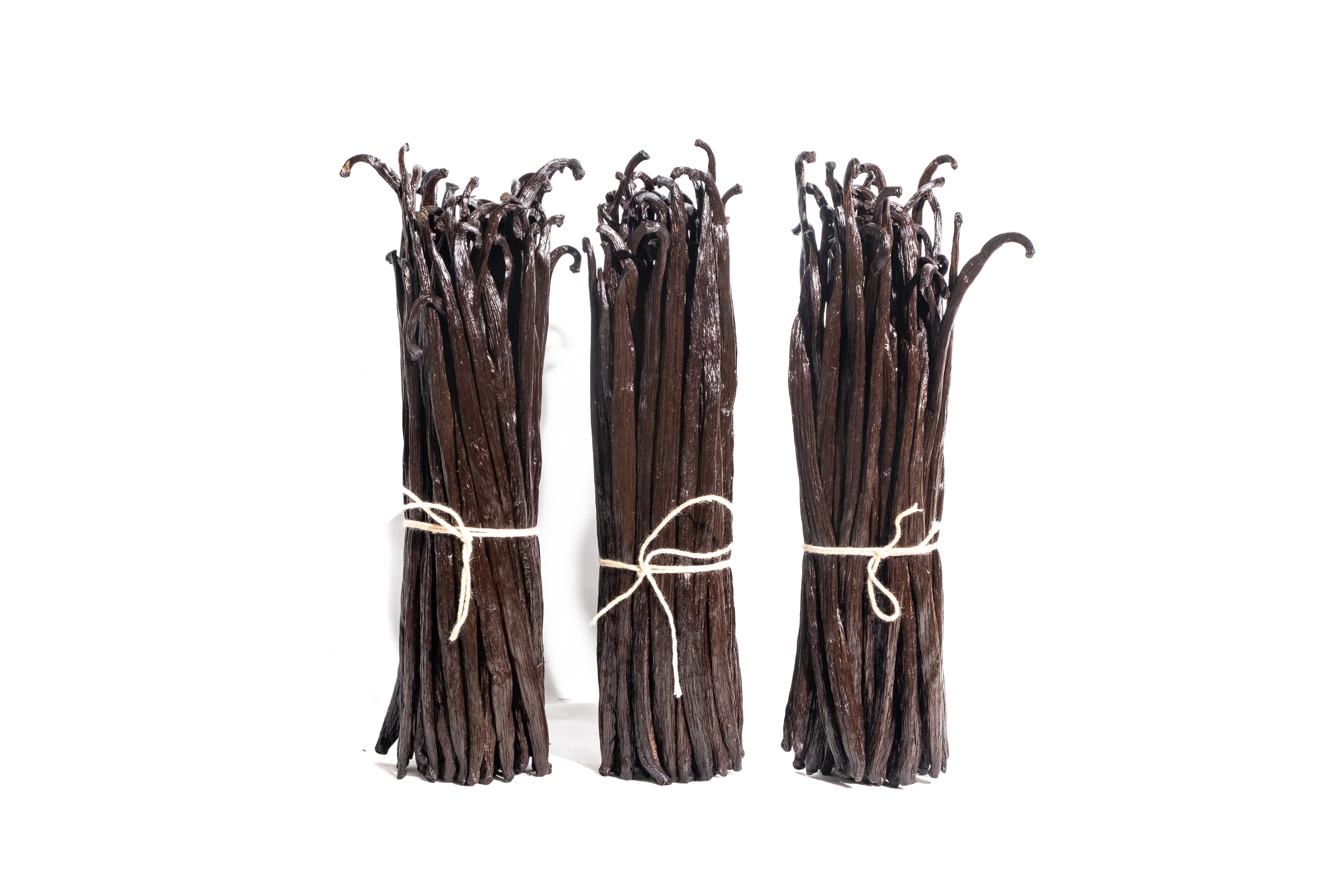 zo-th-1
